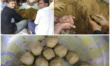 NEWS: लम्पी का प्रकोप, पिपलियामंडी के समाजसेवी ने अपनाया ये तरीका, गायों की बढ़ेगी रोग प्रतिरोधक क्षमता, वायरस से सामना करने की होगी उपयोगी साबित, पढ़े खबर