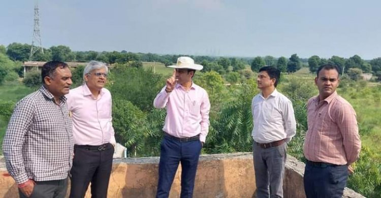NEWS: जिला कलेक्टर ने पंचफल उद्यान धनोरा में किया पौधरोपण, सामुदायिक विकास कार्यों की ली जानकारी, पढ़े खबर