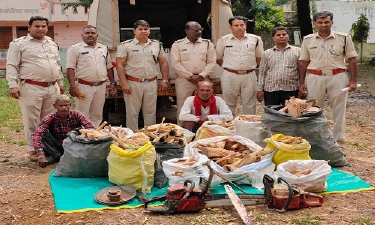 BIG NEWS: वन विभाग की जीरन क्षेत्र में बड़ी कार्यवाही, पेड़ की कटाई करते 2 आरोपी गिरफ्तार, लाखों की चंदन भी जब्त, पढ़े खबर