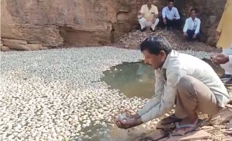 BIG NEWS: उचित दाम नहीं मिले, तो पनपा आक्रोश, 12 क्विंटल लहसुन बहाई पानी में, किसान ने कुछ यूं जताई नाराजगी, मामला- मल्हारगढ़ क्षेत्र के इस गांव का, पढ़े नरेंद्र राठौर की खबर