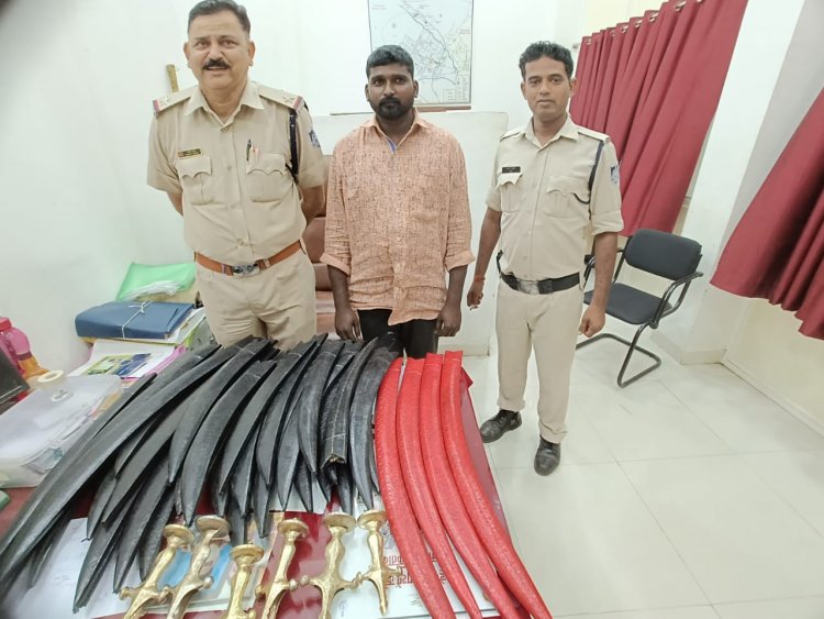 NEWS : हथियारों से लैस भगवान सिंह, और नीमच का प्राइवेट बस स्टैंड, सूचना पर केंट पुलिस की दबिश, मौके से युवक गिरफ्तार, पढ़े ये बड़ी कार्यवाही, पढ़े खबर