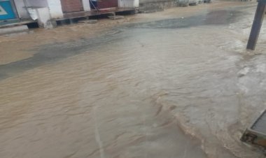 NEWS: रामपुरा क्षेत्र में बादल गरजने के साथ हुई झमाझम बारिश, किसानों के चेहरे हुए मायूस...! पढ़े रुपेश सारू की खबर