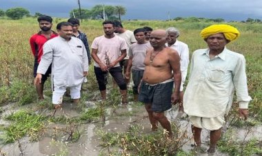 BIG NEWS: नीमच जिले में आफत की बारिश, सोयाबीन की फसल बर्बाद, जिला पंचायत सदस्य बाहेती पहुंचे खेतों में, हालातों का लिया जायजा, अब प्रशासन से की बड़ी मांग, पढ़े खबर