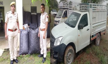 BIG NEWS: DST और पुलिस की बड़ी कार्यवाही, पिकअप से बरामद की डोडाचूरा की बड़ी खैप, आरोपी मौके से फरार, पढ़े खबर
