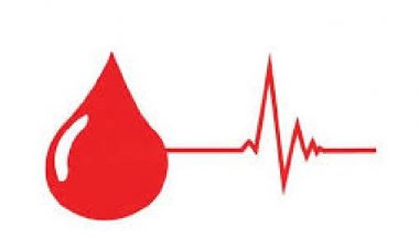 NEWS: नीमच के जवाहर नगर में विशाल रक्तदान शिविर का आयोजन, आप भी करें सहयोग, संघ की रक्तदाताओं ने की ये अपील, पढ़े खबर