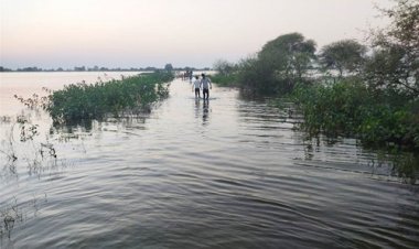 OMG ! घर लौटती महिलाएं चंबल नदी में उतरी, रास्ता भटकी, तो समां गई मौत के मुहं में, 5 शव मिलते ही मचा हाहाकार, 2 बच्चों की ऐसे बच गई जान, मामला- शामगढ़ क्षेत्र का, पढ़े ये खबर