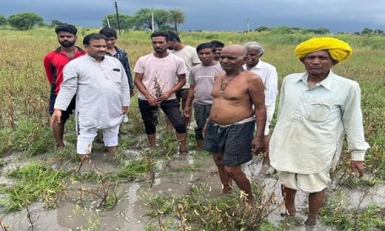 BIG NEWS: नीमच जिले में आफत की बारिश, सोयाबीन की फसल बर्बाद, जिला पंचायत सदस्य बाहेती पहुंचे खेतों में, हालातों का लिया जायजा, अब प्रशासन से की बड़ी मांग, पढ़े खबर
