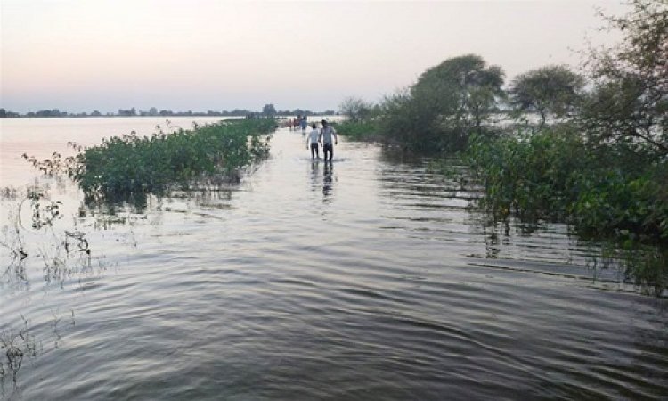 OMG ! घर लौटती महिलाएं चंबल नदी में उतरी, रास्ता भटकी, तो समां गई मौत के मुहं में, 5 शव मिलते ही मचा हाहाकार, 2 बच्चों की ऐसे बच गई जान, मामला- शामगढ़ क्षेत्र का, पढ़े ये खबर