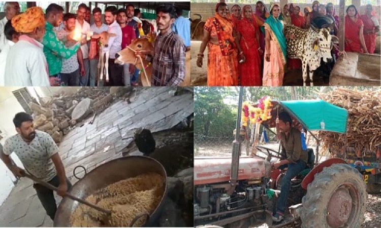 NEWS: ग्राम उचेड़ स्थित गौशाला में मनाया गोवर्धन पर्व दीपावली पर्व, गायों का किया पूजन, की सुख-समृद्धि की कामना, ग्रामीणों का भी योगदान, पढ़े खबर