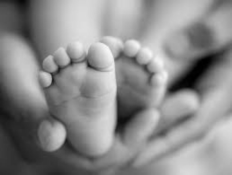 BIG NEWS: लापरवाही रही तो ताप बन बैठा काल, शिशु इकाई में दो नवजात की मौत, कहां हुई बड़ी चूक...! मामला- राजस्थान के इस जिले का, पढ़े रौंगटे खड़े कर देने वाली ये खबर