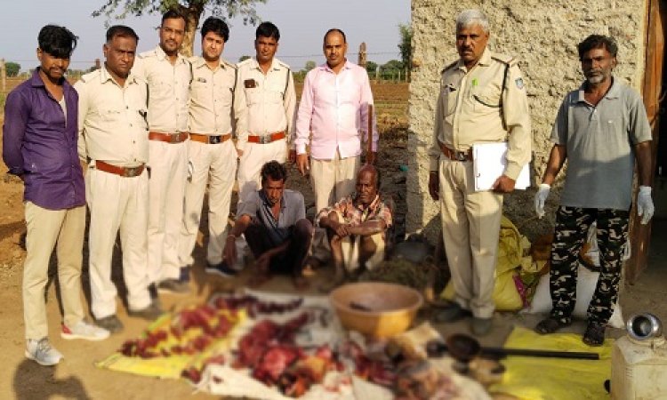 BIG NEWS: मांडा के जंगलों में घुमते शिकारी, जंगली सुअर को बनाया निशाना, सूचना पर वन विभाग की दबिश, मौके से तीन लोग गिरफ्तार, पढ़े ये खबर