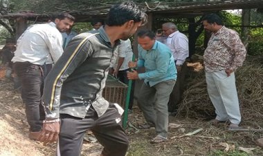 OMG ! कुकड़ेश्वर के तालाब में निकला ये खूंखार जानवर, तो क्षेत्र में फैली दहशत, वन विभाग को मिली सूचना, तो मौके पर पहुंची टीम, किया रैस्क्यू ऑपरेशन, पढ़े मनीष जोलान्या की खबर