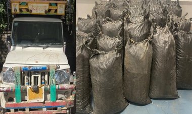 BIG NEWS; संदिग्ध स्थान पर खड़ी दो लोडिंग पिकअप, सूचना पर CBN ने ली तलाशी, डोडाचूरा की बड़ी खैप बरामद, अब जांच शुरू, पढ़े खबर