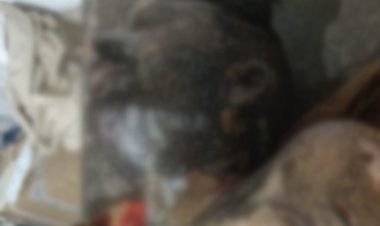 OMG ! भरत ने खुद पर छिड़का केरोसिन, और लगा ली आग, डॉक्टरों ने रैफर किया, पर बीच रास्ते में तोड़ा दम, हादसा ग्राम धनेरियाकलां का, बघाना पुलिस जांच में जुटी, क्या है पूरा मामला...! पढ़े ये खबर