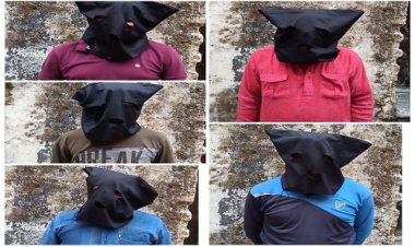 NEWS: ग्राम सुरजनी की साम्प्रदायिक घटना, ये पांच आरोपी हुए फरार, फिर SP ने की इनाम की घोषणा, अब सीतामऊ पुलिस की कार्यवाही, सभी आरोपी गिरफ्तार, पढ़े खबर