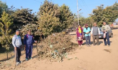 NEWS: आम आदमी पार्टी के कार्यकर्ता पहुंचे संजीवनी उद्यान के बाहर, स्वच्छता अभियान चलाया, वार्ड- 30 में तिरंगा शाखा भी संपन्न, पढ़े खबर