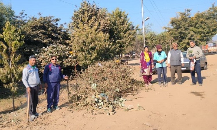 NEWS: आम आदमी पार्टी के कार्यकर्ता पहुंचे संजीवनी उद्यान के बाहर, स्वच्छता अभियान चलाया, वार्ड- 30 में तिरंगा शाखा भी संपन्न, पढ़े खबर