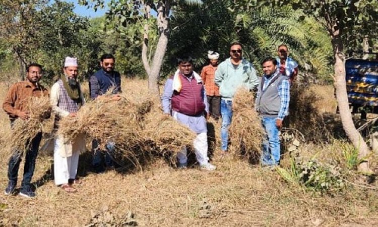 NEWS: जावद में मुस्लिम समाज, और यहां मौजूद गौशाला, आज हुआ ये, इन्होंने ने की एकता की मिसाल पेश, पढ़े खबर
