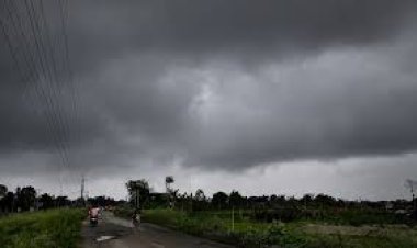 WEATHER UPDATE : MP में मौसम फिर लेगा करवट, इन जिलों में बारिश और कोहरे का अलर्ट, सर्दी भी बढ़ेगी, क्या है पूरा अपडेट...! पढ़े ये खबर