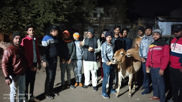 NEWS: सर्दी का प्रकोप, विहिप-बजरंग दल ने ली गौमाता की सुध, रामपुरा में चलाया ये अभियान, अब नगरभर में हो रही प्रशंसा, पढ़े रुपेश सारू की खबर