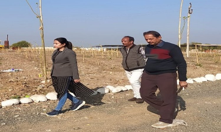 NEWS: CMO गरिमा पाटीदार पहुंची ट्रैचिंग ग्राउंड, खाद बनाने की प्रक्रिया का किया निरीक्षण, दिए ये निर्देश, पढ़े खबर