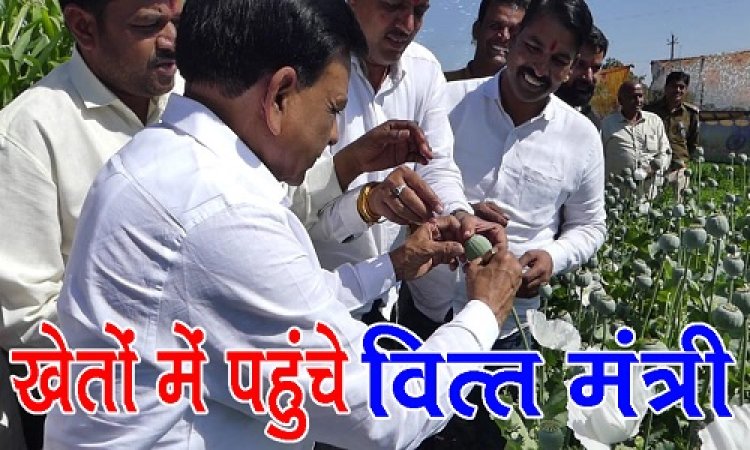 BIG NEWS: काले सोने की फसल में नजर आये सफेद फूल, वित्त मंत्री देवड़ा पहुंचे खेतों में, किया ऐसा काम, की काश्तकार भी बोले वाह-वाह, पढ़े ये खबर