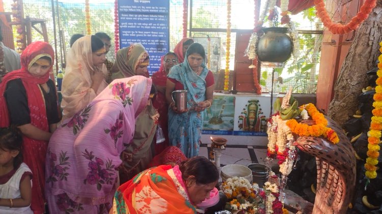 NEWS: नीमच में महाशिवरात्रि की धूम, मनोकामना महादेव मंदिर पर उमड़ा भक्तों का सैलाब, विभिन्न आयोजन संपन्न, जाने क्या रहा खास, पढ़े ये खबर