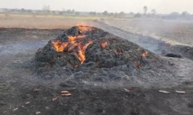 NEWS:- खेत में पड़ा सुखला, अचानक हुआ शाट शर्किट लगी आग, मोके पर पहुंची फायर ब्रिगेड, पढ़े मनीष जोलानिया की खबर......