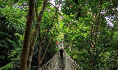 NEWS: मंदसौर के 30 एनसीसी छात्र सैनिकों का राष्ट्र स्तरीय एडवेंचर कोर्स के लिए चयन, पढ़े खबर