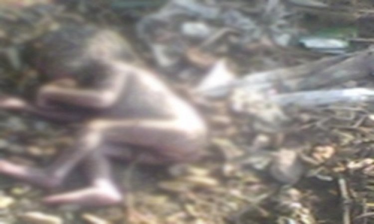OMG ! गांव में मृत मिला 7 माह का मासूम, ग्रामीणों का दिल पसीजा, तुरत रतनगढ़ पुलिस को दी सुचना, अब PM रिपोर्ट में होगा खुलासा...! पढ़े ये खबर