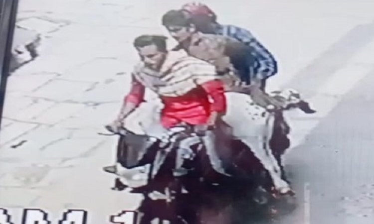 OMG ! राह में अपना पेट भरता ये बेजुबान पशु, फिर बाइक सवार बदमाश आये, और दिया इस वारदात को अंजाम, दशरथ पहुंचा मनासा थाने, अब पुलिस कर रही जांच, क्या हैं पूरा मामला...! पढ़े ये खबर