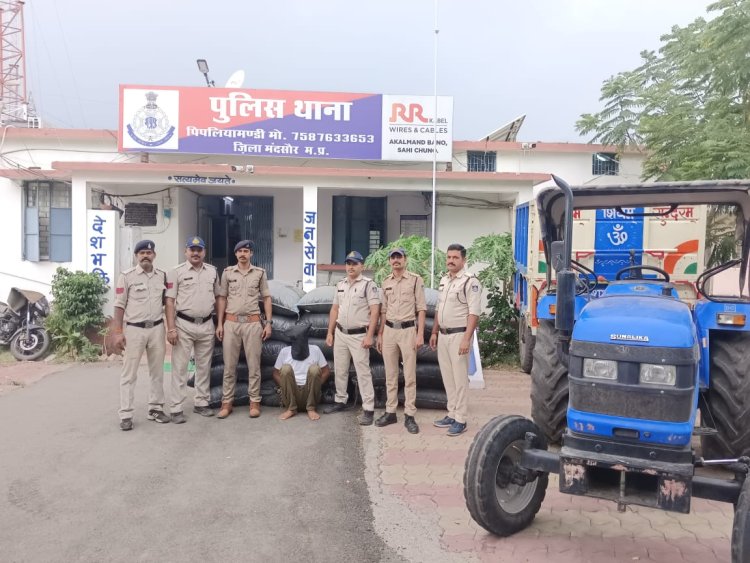 BIG NEWS: गेहूं की आड़ में मादक पदार्थ की स्मगलिंग, सुचना पर पिपलियामंडी पुलिस ने पकड़ा, डोडाचूरा की बड़ी खैप तो बरामद, एक गिरफ्तार भी, क्या तस्करी में बाप-बेटे दोनों शामिल...! पढ़े ये खबर