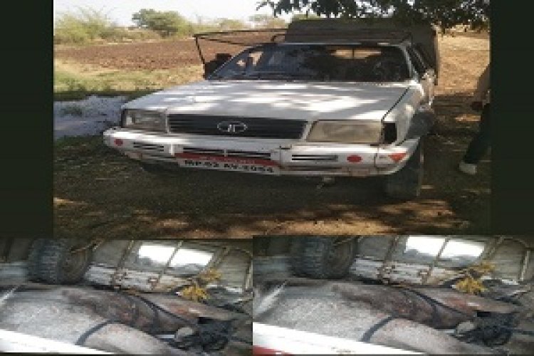 OMG ! ये क्या हो रामलाल के खेत में, की लग गई भीड़, फिर लोगों ने घुमाया फोन, तो कई अधिकारी भी मौके पर, मामला- ग्राम उगरान का, पढ़े ये खबर