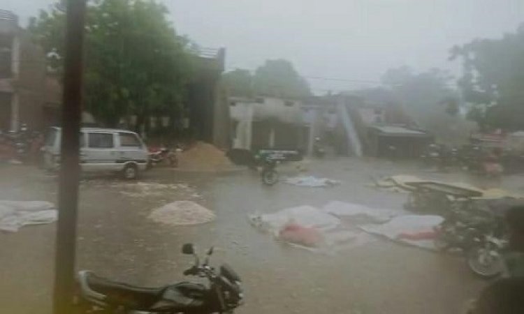 NEWS: बदला मौसम का मिजाज, तेज हवाओं के साथ बारिश का दौर, मंडी में उपज भीगी, किसानों को नुकसान, पढ़े ये खबर