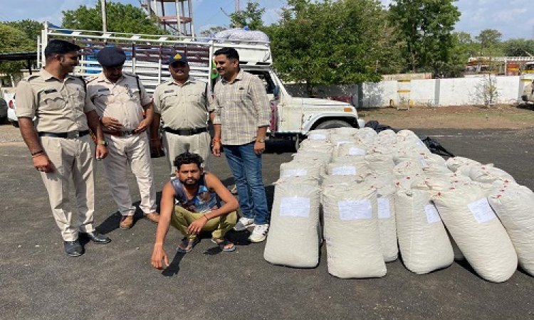 BIG NEWS: नीमच बायपास पर खड़ा बोलेरो कैंपर, सुचना पर सिटी पुलिस की घेराबंदी, डोडाचूरा की खैप जप्त, पिपलियामंडी का ललीत गिरफ्तार, पढ़े ये खबर
