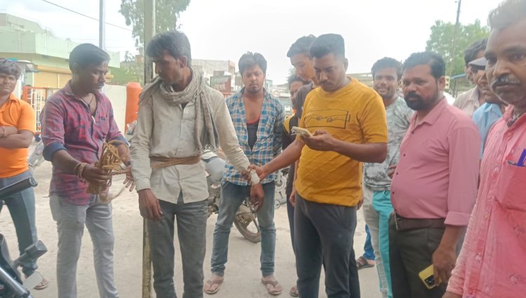 OMG ! मंडी में आये दो युवक, इस वारदात को अंजाम देने की कोशिश, लेकिन किस्मत निकली खराब, लोगों ने पकड़ा, और बांधने के बाद..! फिर मनासा पुलिस भी मौके पर, पढ़े ये खबर