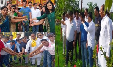 NEWS: ग्रीन बेल्ट को दो वर्ष पूर्ण, जनप्रतिनिधियों-अधिकारियों ने किया पौधारोपण, जिला कलेक्टर ने कहां- हरियाली में NSSG का सराहनीय कार्य, तो एसपी ने बोले- शहर को हराभरा बनाने में प्रेरणादायी कदम, पढ़े खबर
