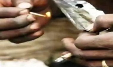 BREAKING NEWS: शहर कोतवाली व दलोदा पुलिस की स्मेकचियो पर बड़ी कार्यवाही, नशे की सामग्रीयो सहित 7 नशेड़ियों को किया गिरफ्तार,पढ़े खबर