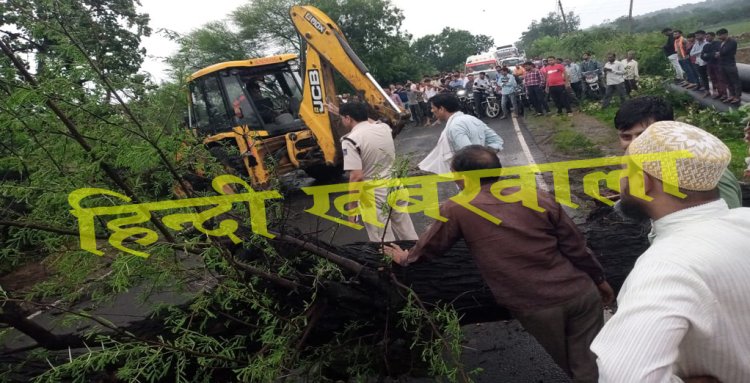 BIG NEWS: तेज हवाओं के साथ बारिश, नीमच-सिंगोली मार्ग पर विशालकाय पेड़ गिरा, आगगमन बंद, और लगा जाम, पढ़े संजय नागौरी की खबर