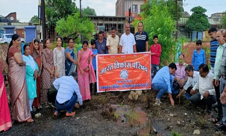 NEWS: भारत विकास परिषद के सदस्य पहुंचे ग्राम जवासा, इस स्कूल के परिसर में किया पौधारोपण, दिया ये संदेश, पढ़े ये खबर