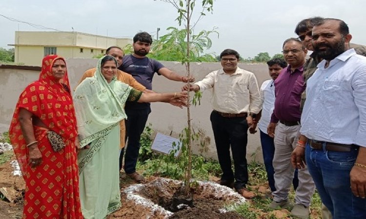 NEWS: चीताखेड़ा में नवीन पंचायत भवन, और बगीचे को सुंदर बनाने का लक्ष्य, पौधारोपण कर इन्होंने दिया संदेश, जब स्वच्छता की आई बात, तो CEO गुरुप्रसाद ने दिए ये निर्देश, पढ़े आजाद मंसूरी की खबर