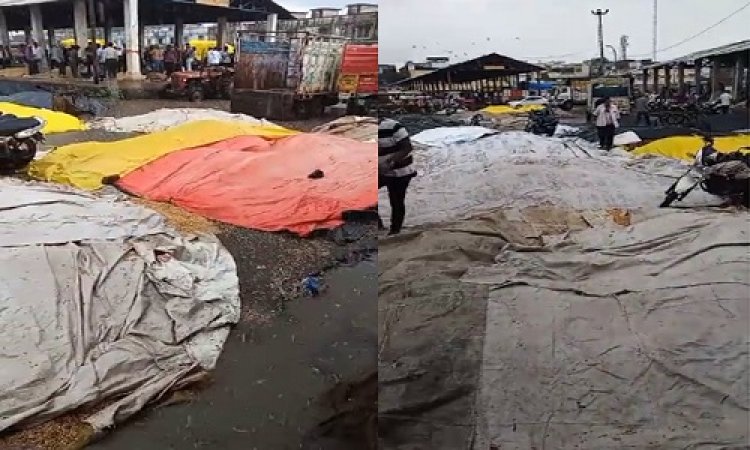 BIG NEWS: नीमच सहित अंचल में तेज बारिश, मंडी में उपज भीगी, किसानों के चेहरे पर छाई मायूसी, नजर आई चिंता की लकीरे, क्या बोले अन्नदाता...! पढ़े ये खबर