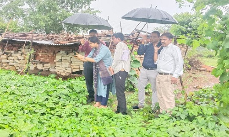 WOW ! डिजिटल क्राप सर्वेक्षण, पायलट प्रोजेक्ट के रूप में नीमच सहित इस जिले का चयन, पहली बार युवा करेंगे ये काम, अपर कलेक्टर ने किया निरिक्षण, पढ़े ये खबर
