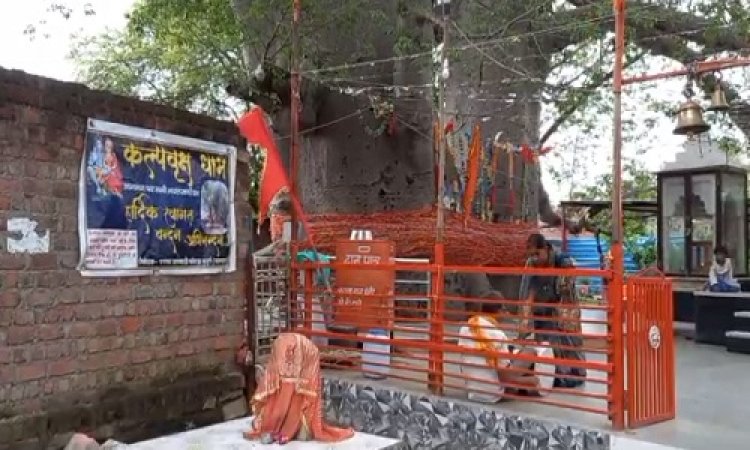 NEWS: सावन मास में कल्पवृक्ष पर पहुंच रहे हैं सैकड़ों श्रद्धालु रोज, विधि-विधान से की जा रही पूजा-अर्चना, क्या है इतिहास, पढ़े कैलाश विश्वकर्मा की खबर