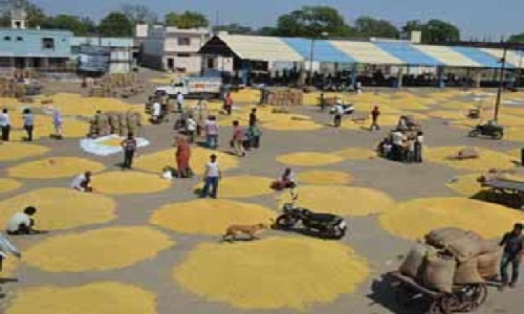 NEWS: आज से नीमच मंडी बंद, गेट पर लगे ताले, अब इस तारीख से शुरू होगी नीलामी, किसानों व व्यापारियों के लिए ये जानकारी है अहम, पढ़े ये खबर