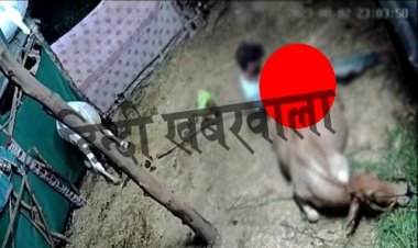 BIG REPORT : ये कैसा कलयुग...! हवस मिटाने के लिए गौमाता के साथ किया खोटा काम, आरोपी युवक पुलिस की गिरफ्त में, इन धाराओं में प्रकरण दर्ज, घटना का CCTV भी वायरल, घटना मंदसौर जिले की, पढ़े कैलाश शर्मा की ये खबर