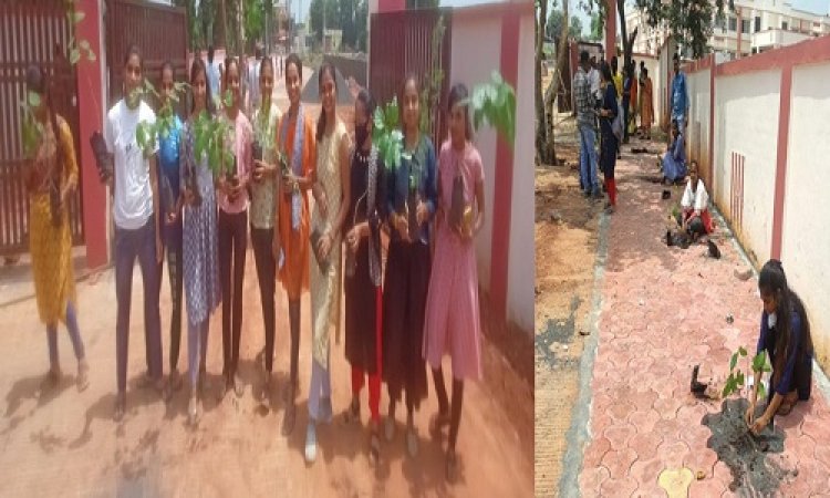 NEWS: जीरन महाविद्यालय में विद्यार्थियों ने किया पौधरोपण, संरक्षित रखने का भी लिया संकल्प, पढ़े खबर