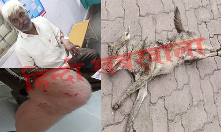 OMG: खूंखार जानवर ने किया हमला, तो किसान ने दिखाई हिम्मत, सियार को ऐसे उतारा मौत के घाट, फिर बाइक के पीछे बांध घसीटा भी, और पहुंचा यहां, घटना मनासा थाना क्षेत्र की, पढ़े रौंगटे खड़े कर देने वाली खबर