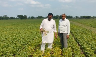 NEWS: अंचल में औसत से कम वर्षा, नष्ट हुई फसलों का उमरावसिंह ने लिया जायजा, फैसला जल्द से जल्द नहीं, तो होगा आंदोलन, पढ़े खबर