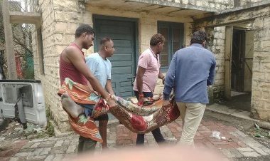 BIG NEWS : पत्नी से इतना प्रताड़ित पति,की मौत को गले लगाना समझा आसान,पहले व्हाट्सअप पर लिखा ये मेसेज,और झूल गया फांसी के फंदे पर,अब मनासा पुलिस जुटी जाँच में